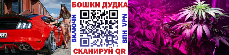 Названия наркотиков Звенигово Амфетамин  Alpha PVP  ссылка на мегу рабочий сайт  Cocaine  Гашиш 